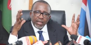 CS Mithika Linturi