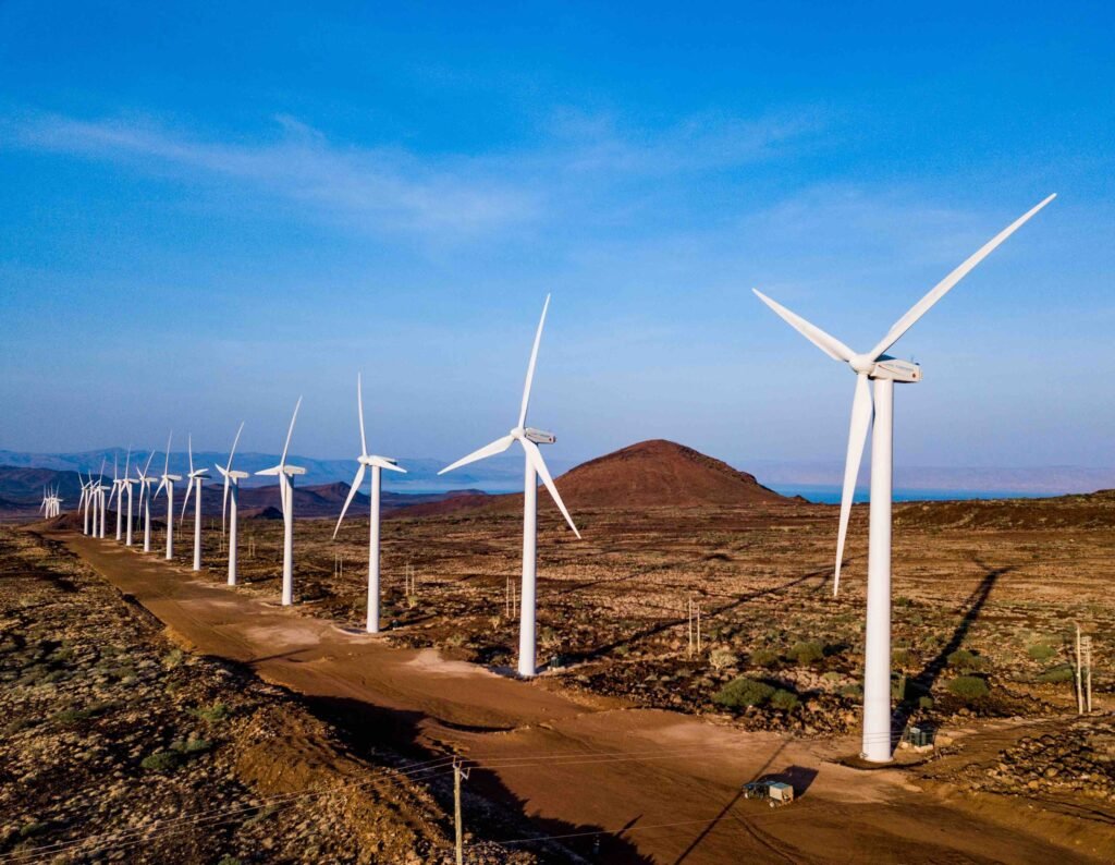A wind firm in Turkana County.
