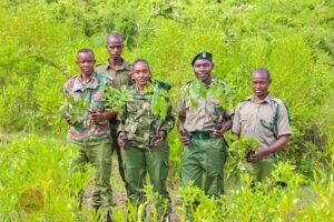 Police officers take part in the tree planting exercise