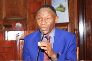 Prof Bitange Ndemo