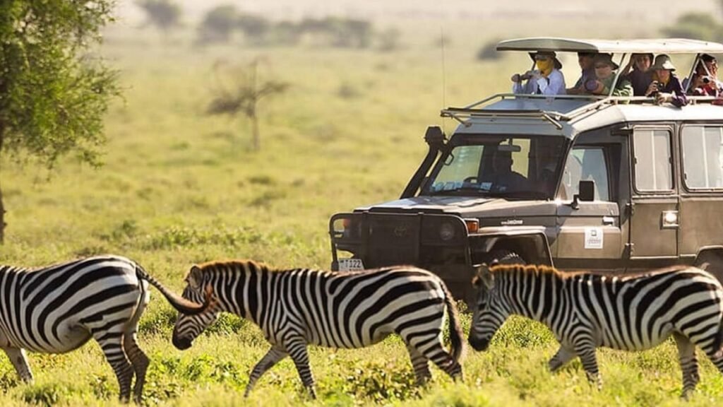 Uber goes wild with game-changing app-based safaris in Kenya Nairobi National Park
