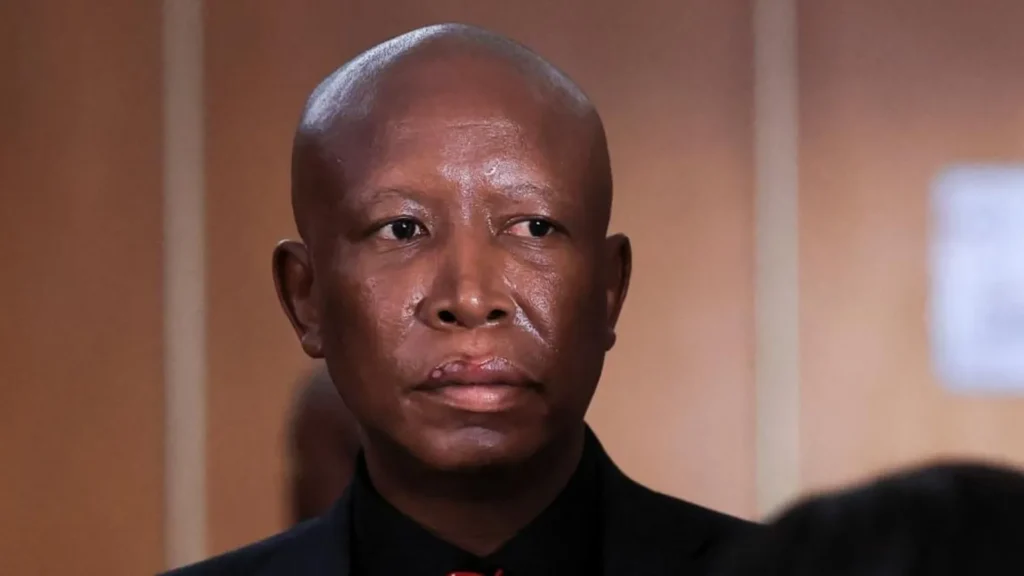 South African MP Julius Malema jailed for firing gun in public Julius Malema