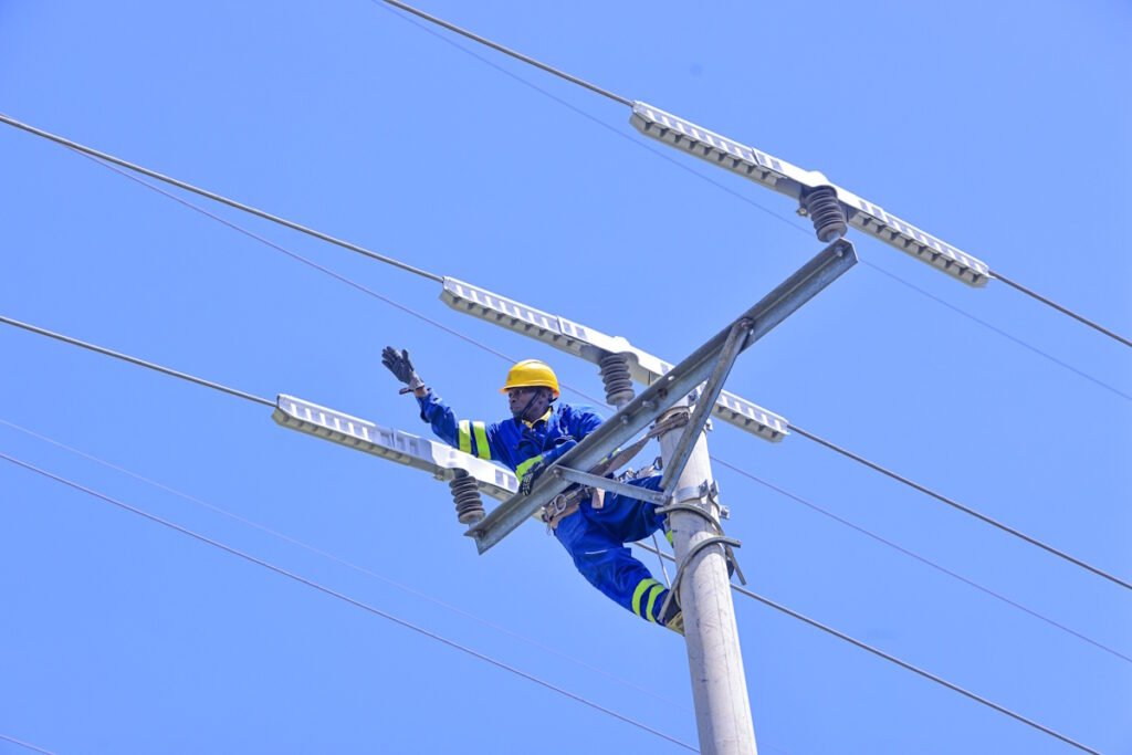 Kenya Power, US firm partner to save wildlife from electrocution